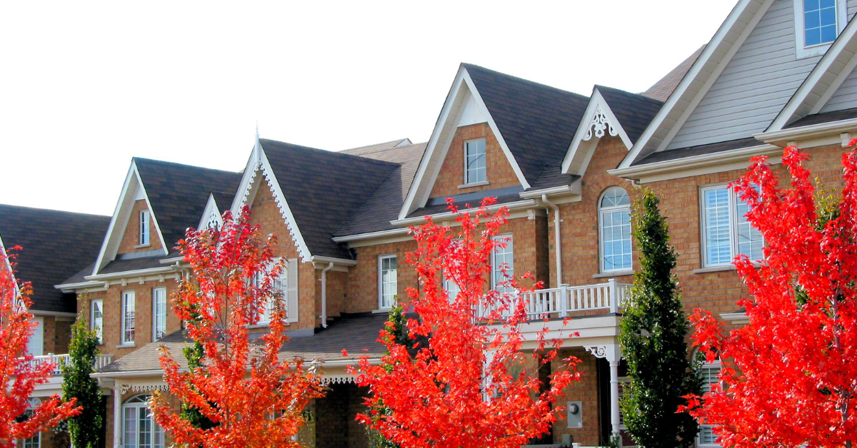 How to file a property tax protest and win